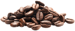 Coffee Robusta